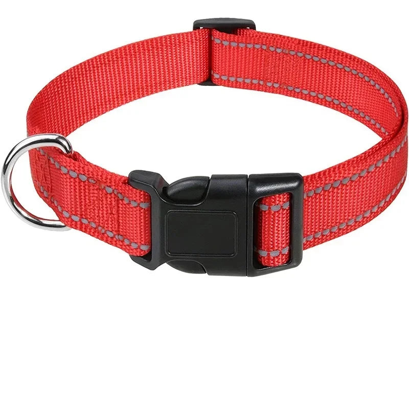 Collare Riflettente Regolabile per Cani – Nylon Resistente con Chiusura di Sicurezza e Alta Visibilità