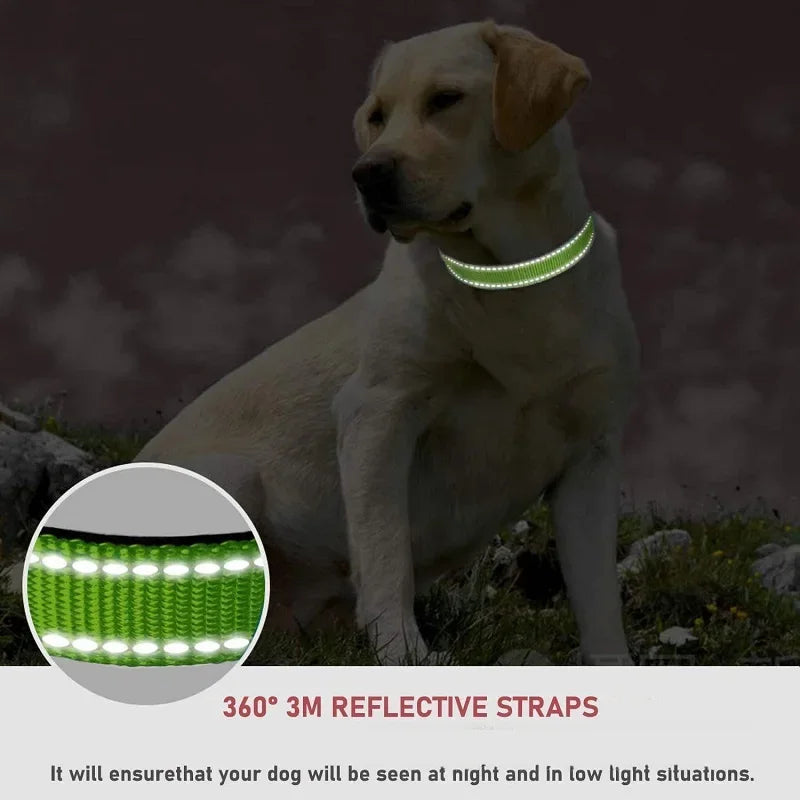 Collare Riflettente Regolabile per Cani – Nylon Resistente con Chiusura di Sicurezza e Alta Visibilità