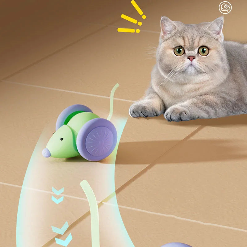 Topo Interattivo Elettrico a Forma di Topolino per Gatti