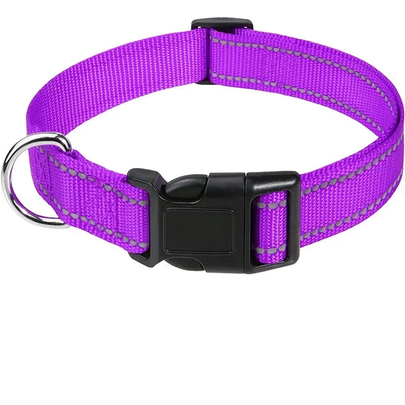 Collare Riflettente Regolabile per Cani – Nylon Resistente con Chiusura di Sicurezza e Alta Visibilità