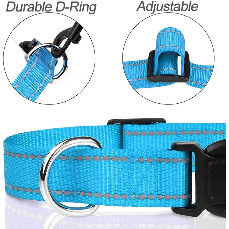 Collare Riflettente Regolabile per Cani – Nylon Resistente con Chiusura di Sicurezza e Alta Visibilità