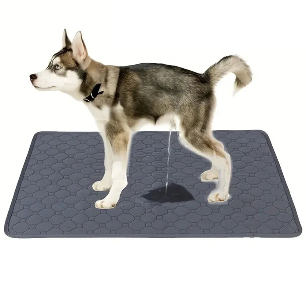 Tappetino Assorbente Lavabile per Cani – Riutilizzabile, Impermeabile e Multiuso