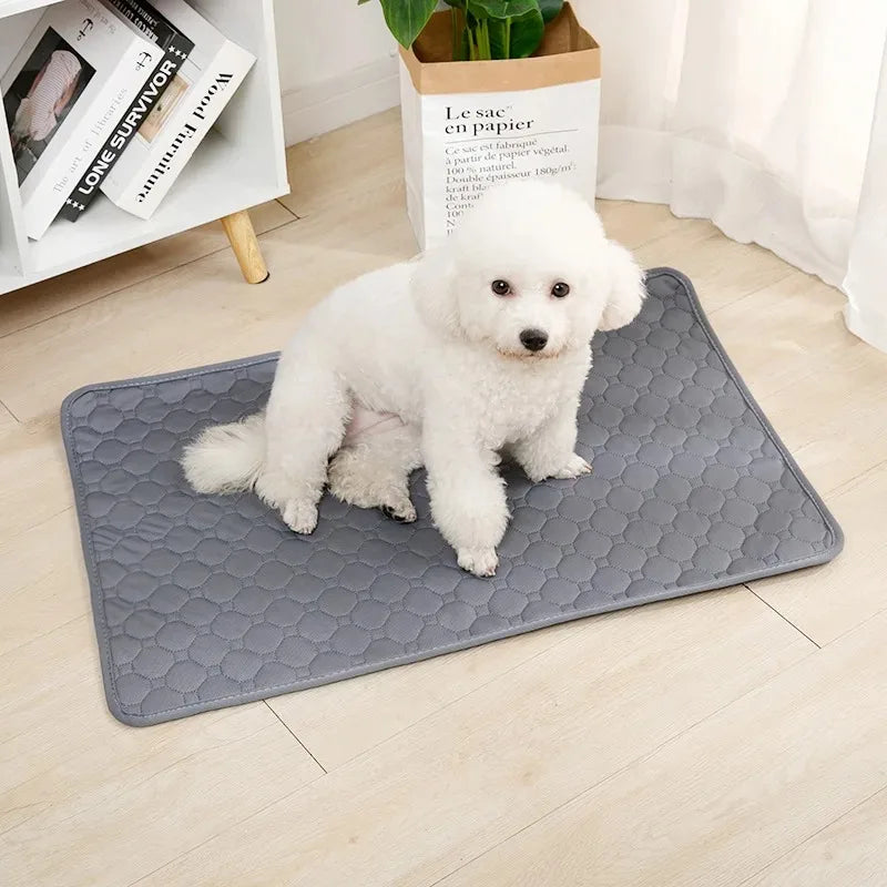 Tappetino Assorbente Lavabile per Cani – Riutilizzabile, Impermeabile e Multiuso