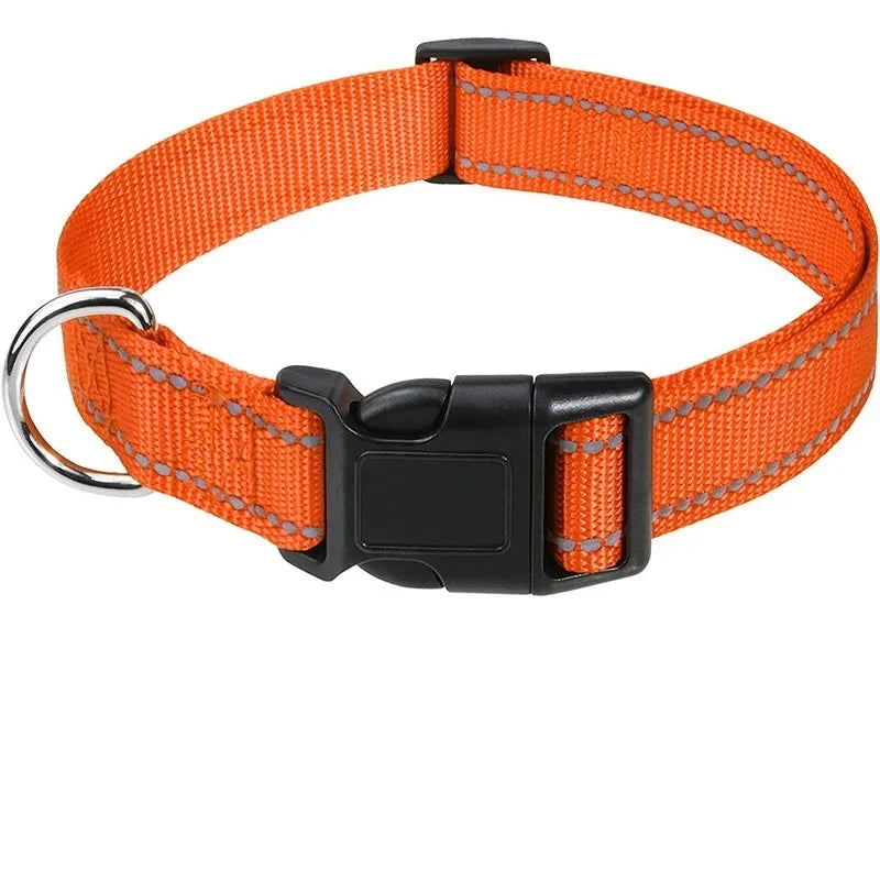 Collare Riflettente Regolabile per Cani – Nylon Resistente con Chiusura di Sicurezza e Alta Visibilità