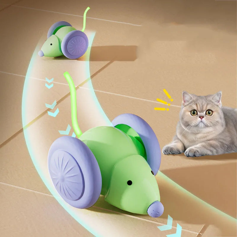 Topo Interattivo Elettrico a Forma di Topolino per Gatti
