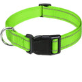 Collare Riflettente Regolabile per Cani – Nylon Resistente con Chiusura di Sicurezza e Alta Visibilità