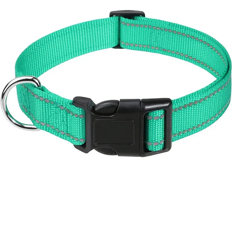 Collare Riflettente Regolabile per Cani – Nylon Resistente con Chiusura di Sicurezza e Alta Visibilità